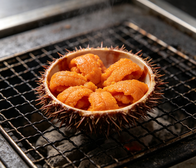 Delicate Sea Urchin Roe